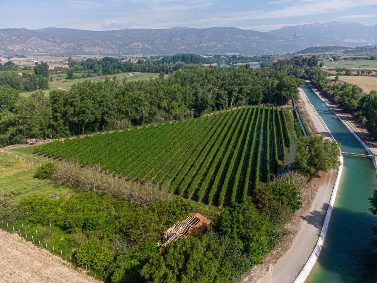 Agricoltura di precisione